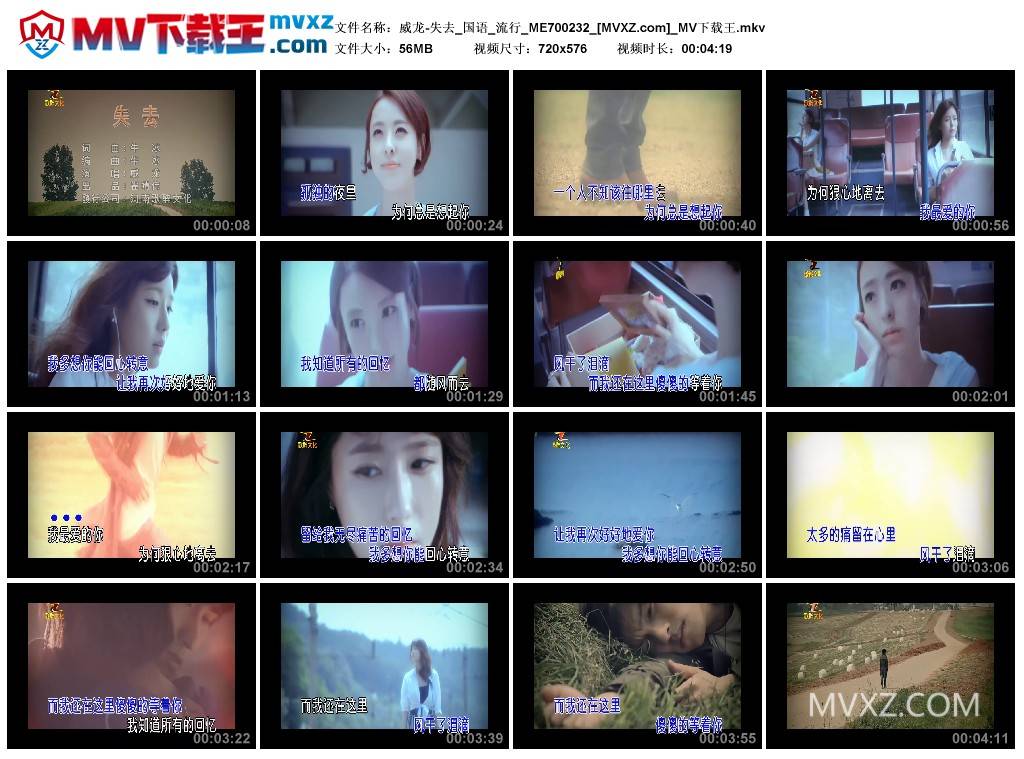 威龙-失去_国语_流行_ME700232